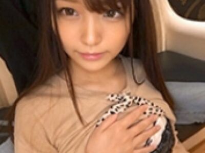 fe9313gw